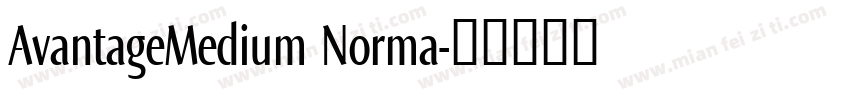 AvantageMedium Norma字体转换